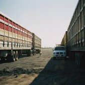 Vehicles of Australia for Kids - Road Trains, Utes & More