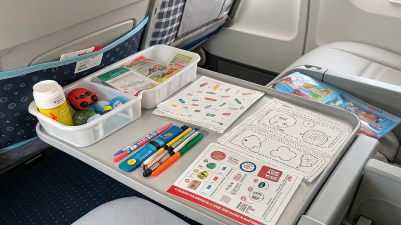 Vehicle Activity Kit for Road Trips & Air Travel